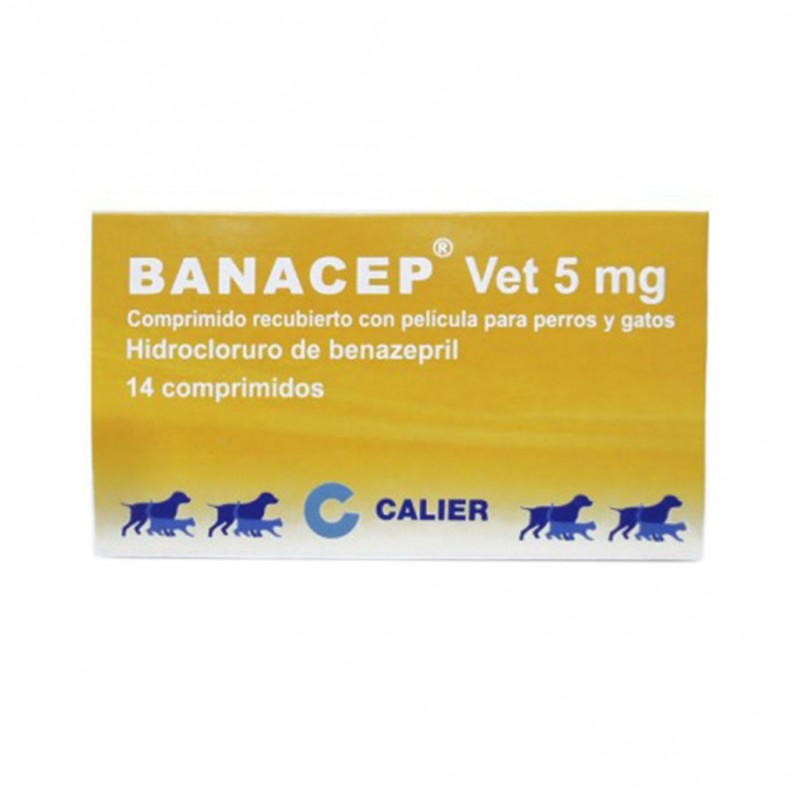 Benazepril 5 Mg Tablet For Dogs – QJPL