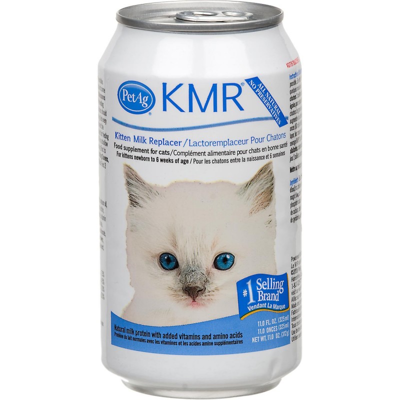Como Preparar Leche Evaporada Para Gatitos